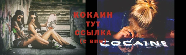 гашик Балахна