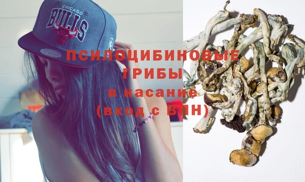 гашик Балахна