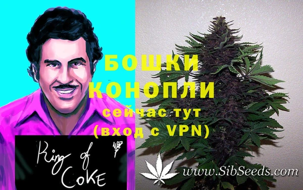 гашик Балахна